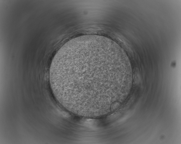 X0000116810467201001291605