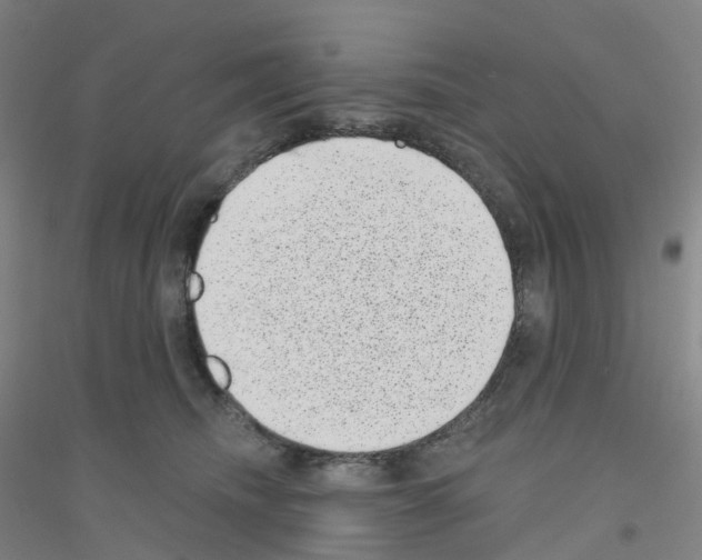 X0000116810468201001291605