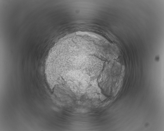 X0000116810469201001291605