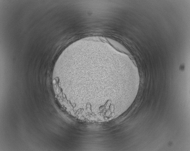 X0000116810470201001291605