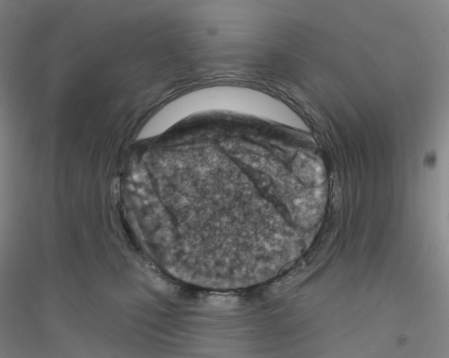 X0000116810471201001291605