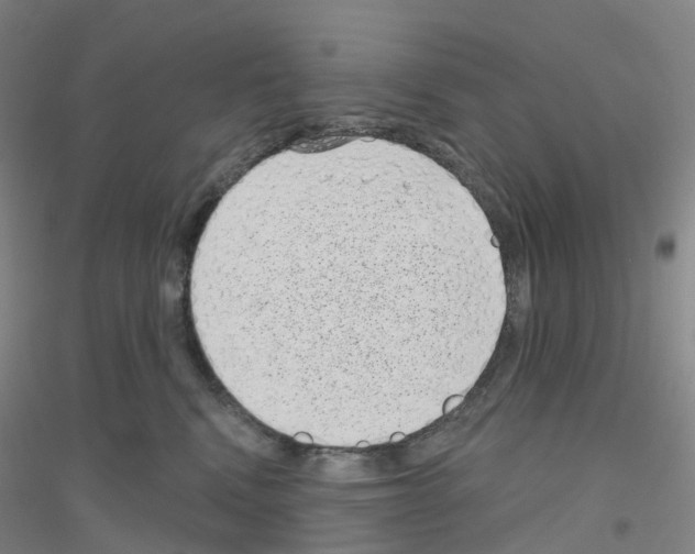 X0000116810472201001291605
