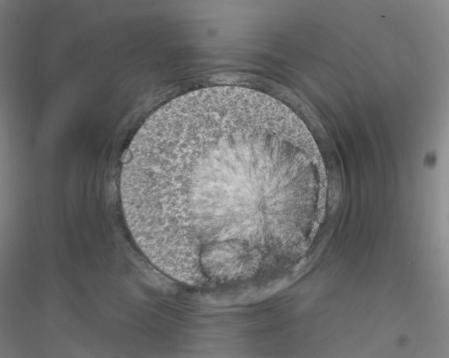 X0000116810473201001291605