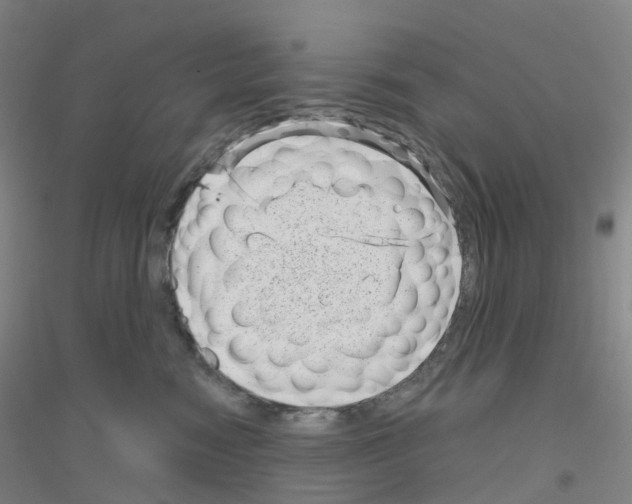 X0000116810474201001291605