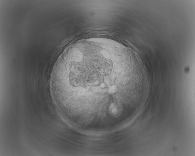 X0000116810475201001291605