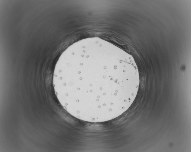 X0000116810476201001291605