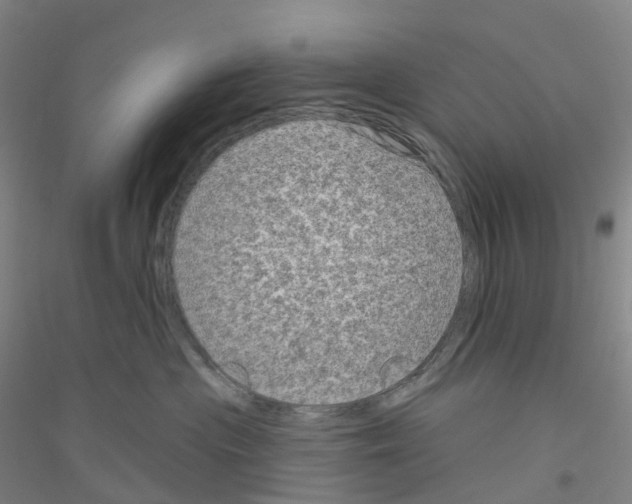 X0000116810477201001291605