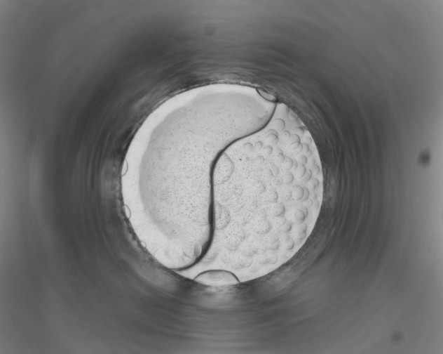 X0000116810478201001291605