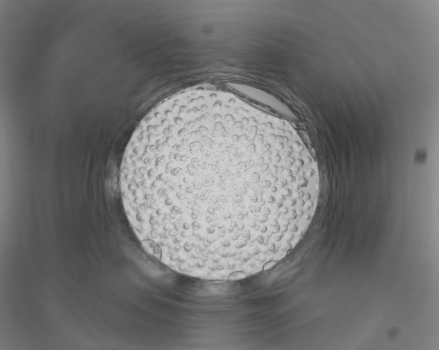 X0000116810479201001291605