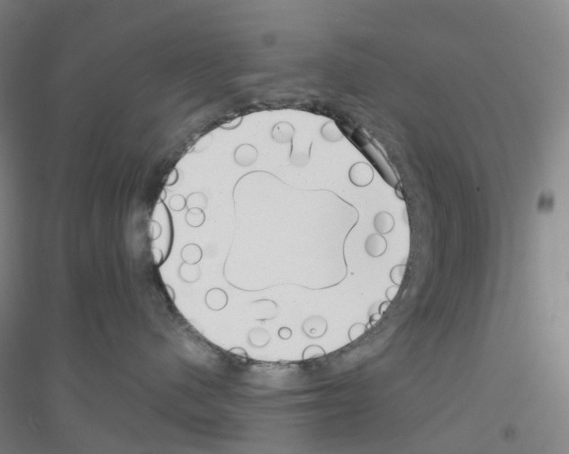 X0000116810480201001291605