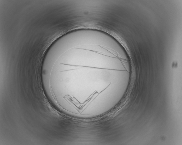 X0000116810481201001291604