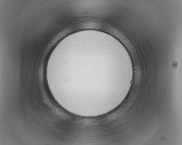 X0000116810482201001291604