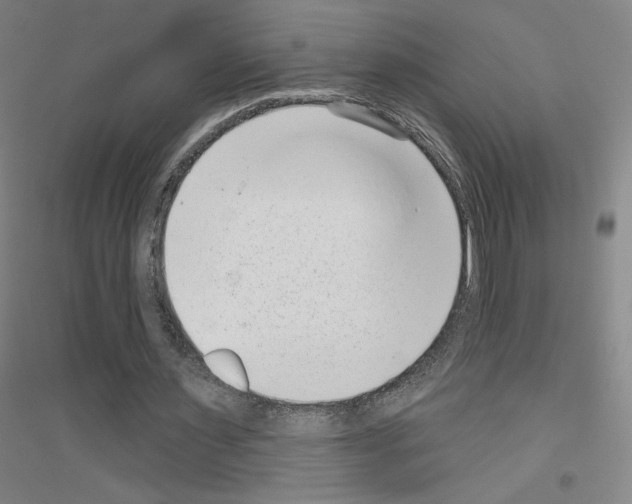 X0000116810483201001291604