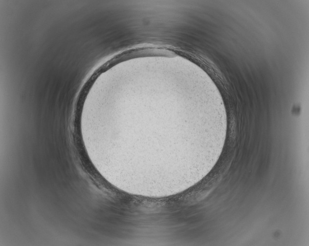 X0000116810484201001291604
