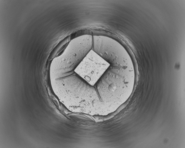 X0000116810485201001291604