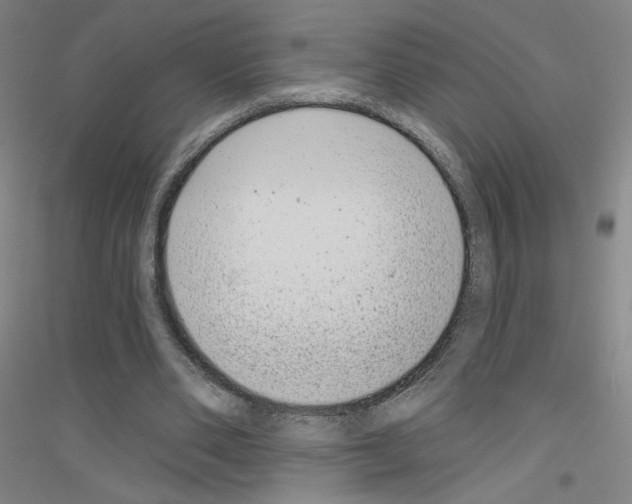 X0000116810486201001291604