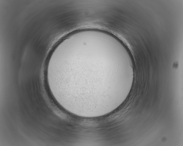 X0000116810487201001291604