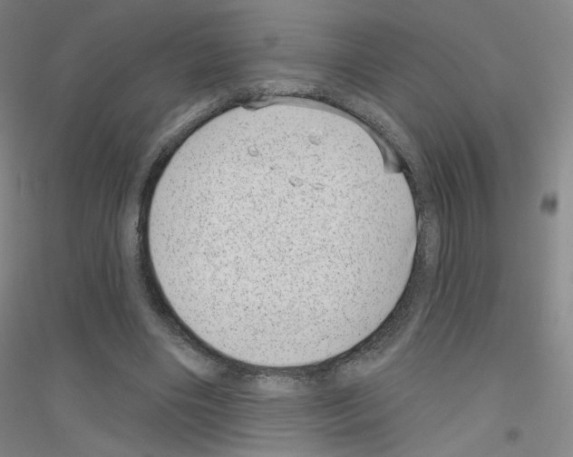 X0000116810490201001291604