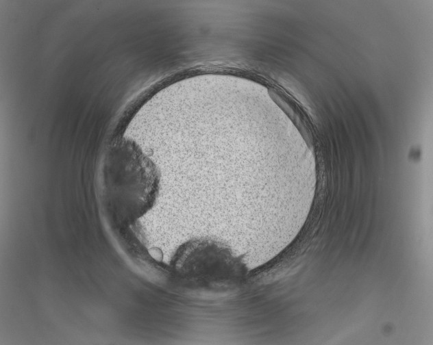 X0000116810491201001291604