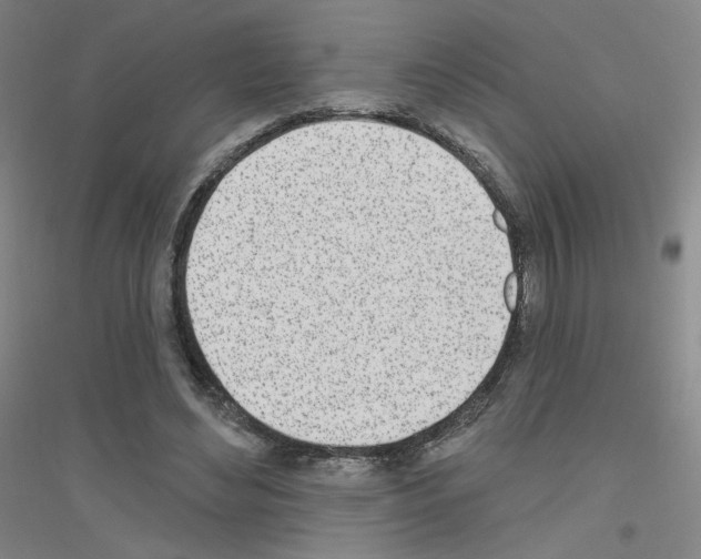 X0000116810492201001291604