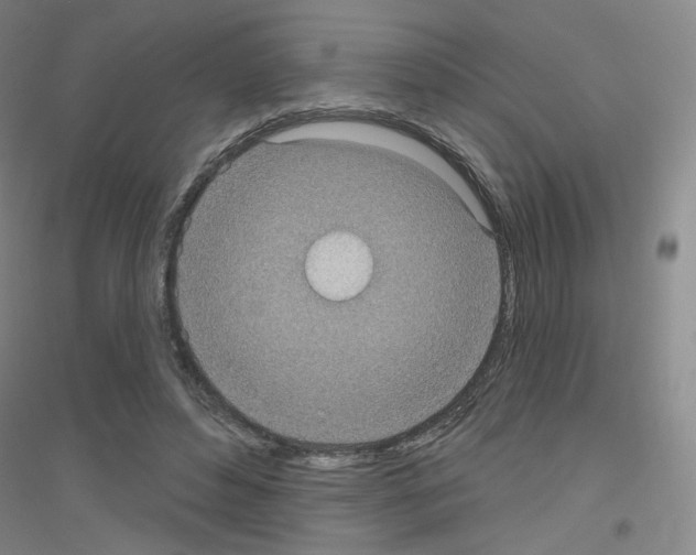 X0000116810496201001291604