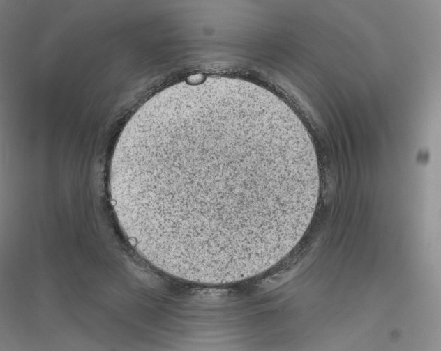 X0000116810497201001291604