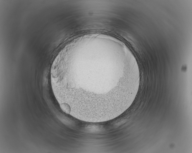 X0000116810499201001291604