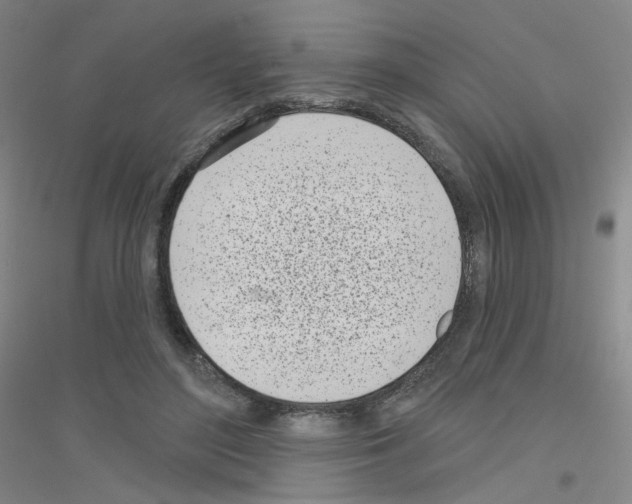 X0000116810500201001291604