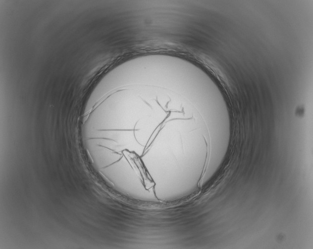 X0000116810501201001291604