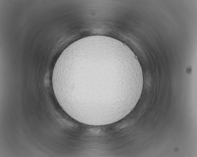 X0000116810502201001291604