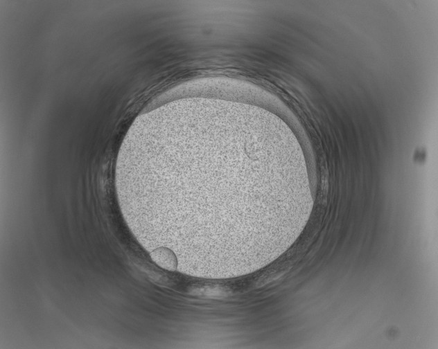 X0000116810503201001291604