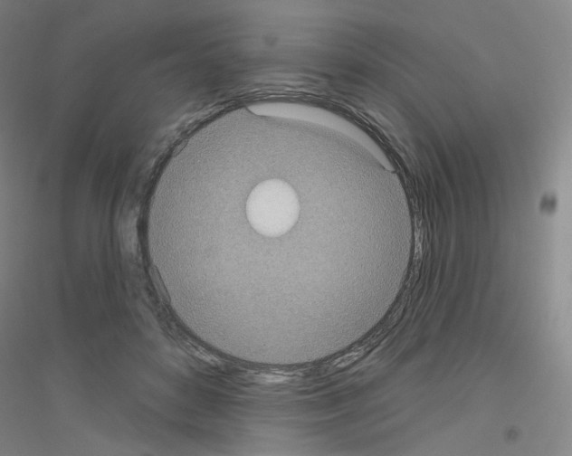 X0000116810504201001291604