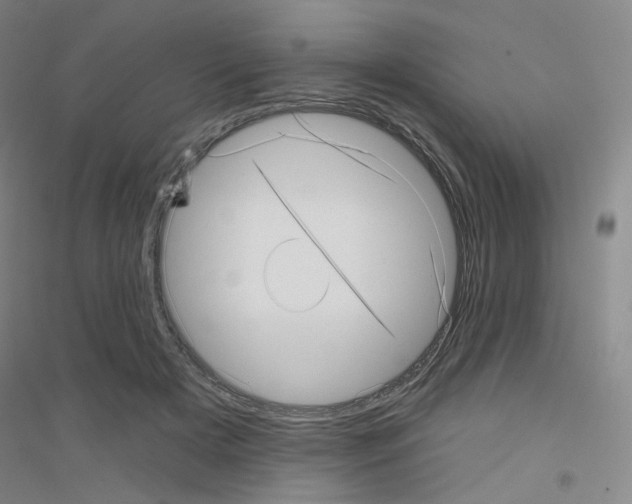 X0000116810505201001291604