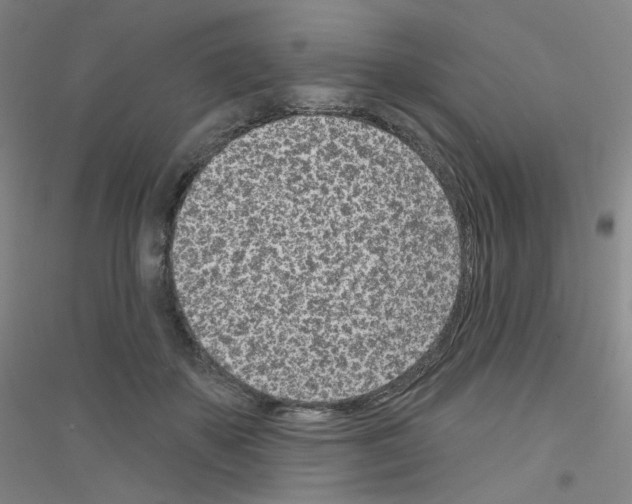 X0000116810507201001291604