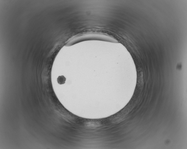 X0000116810508201001291604
