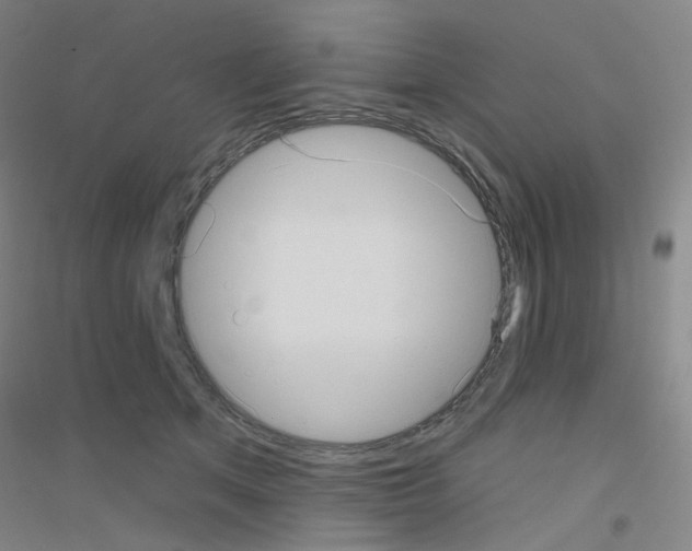 X0000116810513201001291604