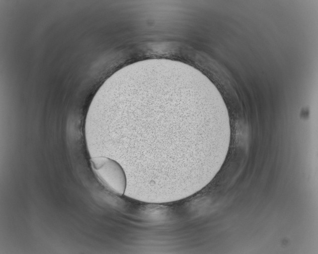 X0000116810514201001291604