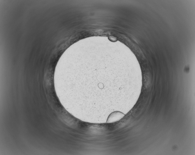 X0000116810515201001291604