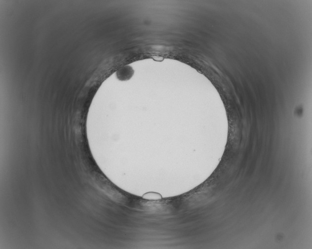 X0000116810516201001291604