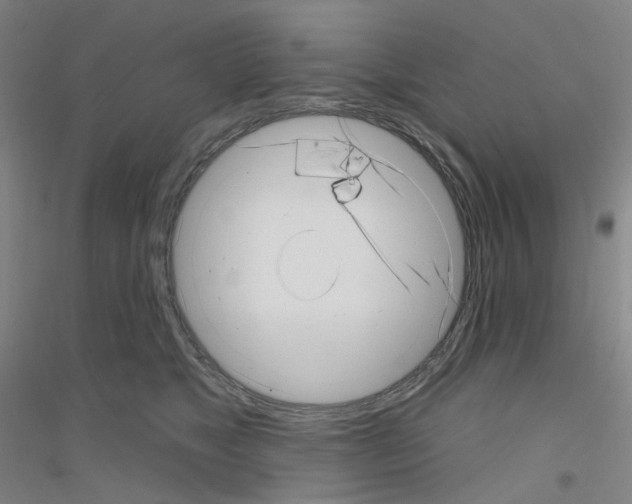 X0000116810517201001291604
