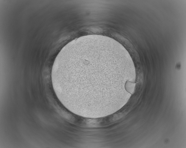 X0000116810518201001291604