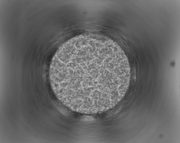 X0000116810519201001291604