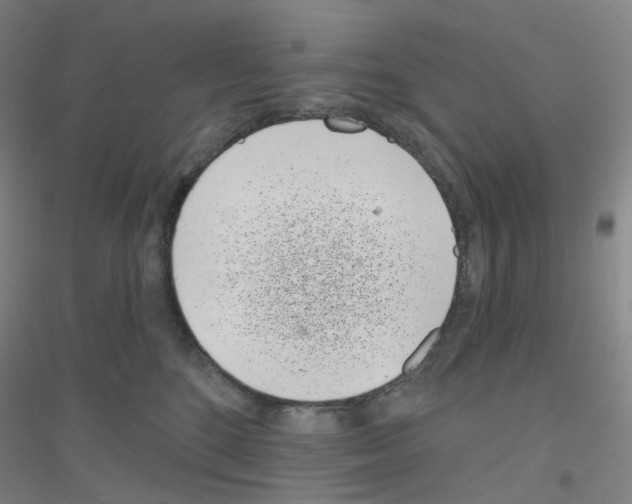 X0000116810520201001291604