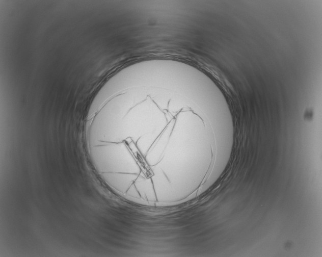 X0000116810521201001291604