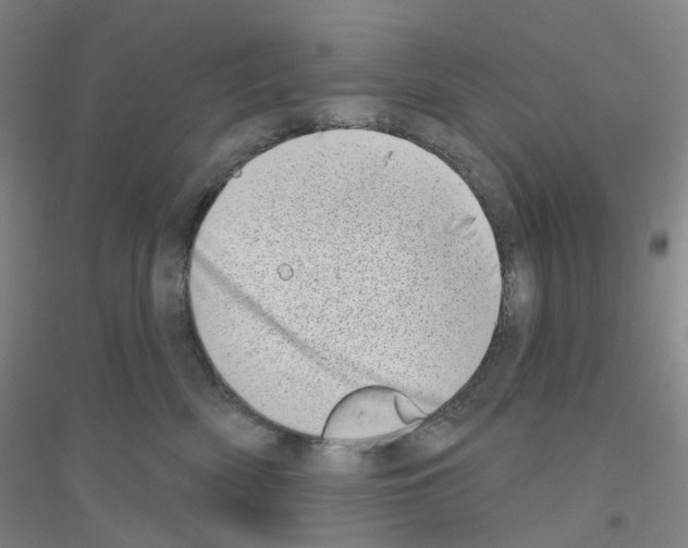 X0000116810522201001291604
