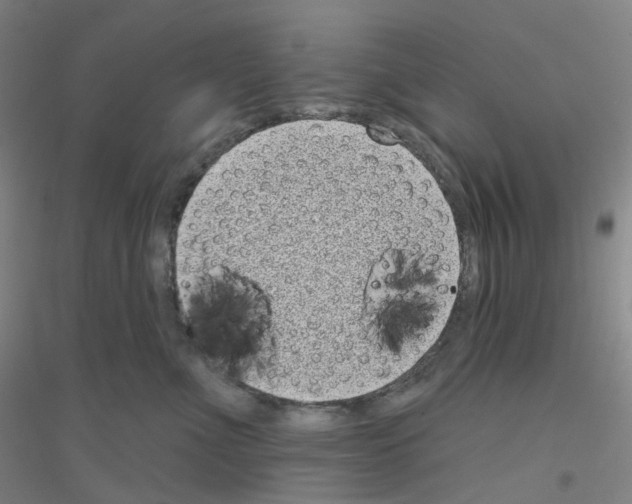 X0000116810523201001291604