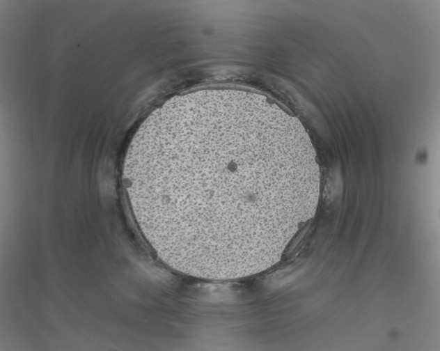 X0000116810524201001291604
