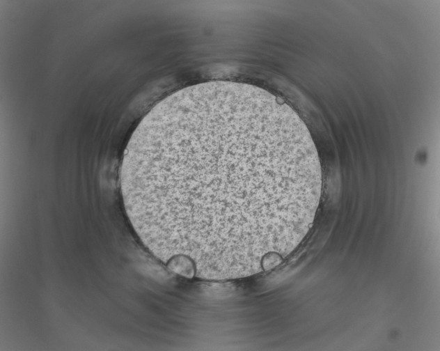 X0000116810525201001291604