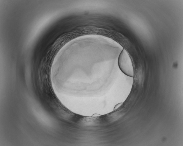X0000116810526201001291604