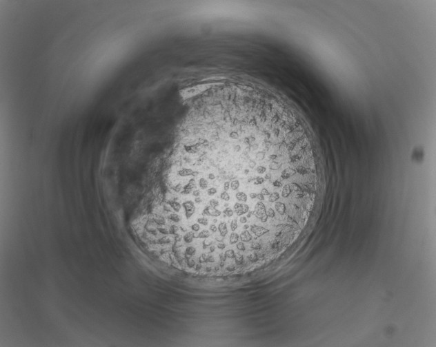 X0000116810527201001291604